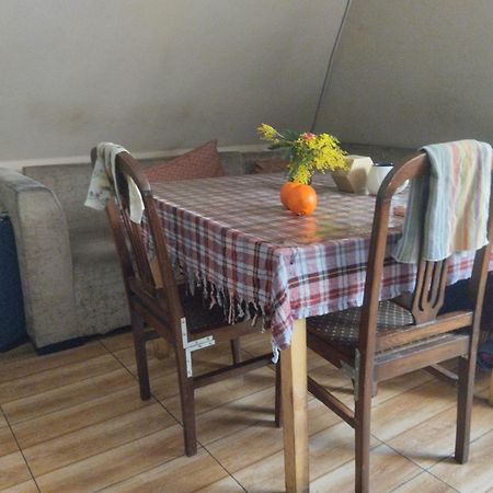 Everyday Cat Hostel บาทูมิ ภายนอก รูปภาพ