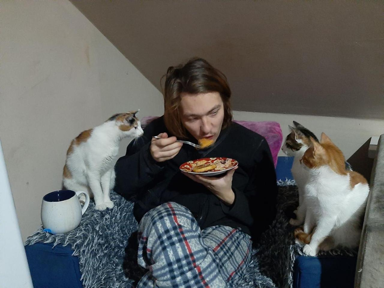 Everyday Cat Hostel บาทูมิ ภายนอก รูปภาพ