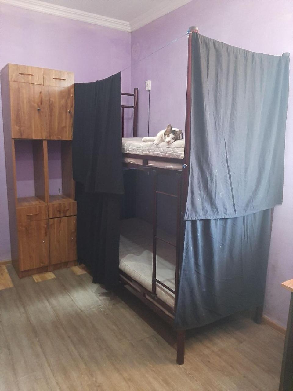 Everyday Cat Hostel บาทูมิ ภายนอก รูปภาพ